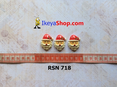 rsn 718  large2